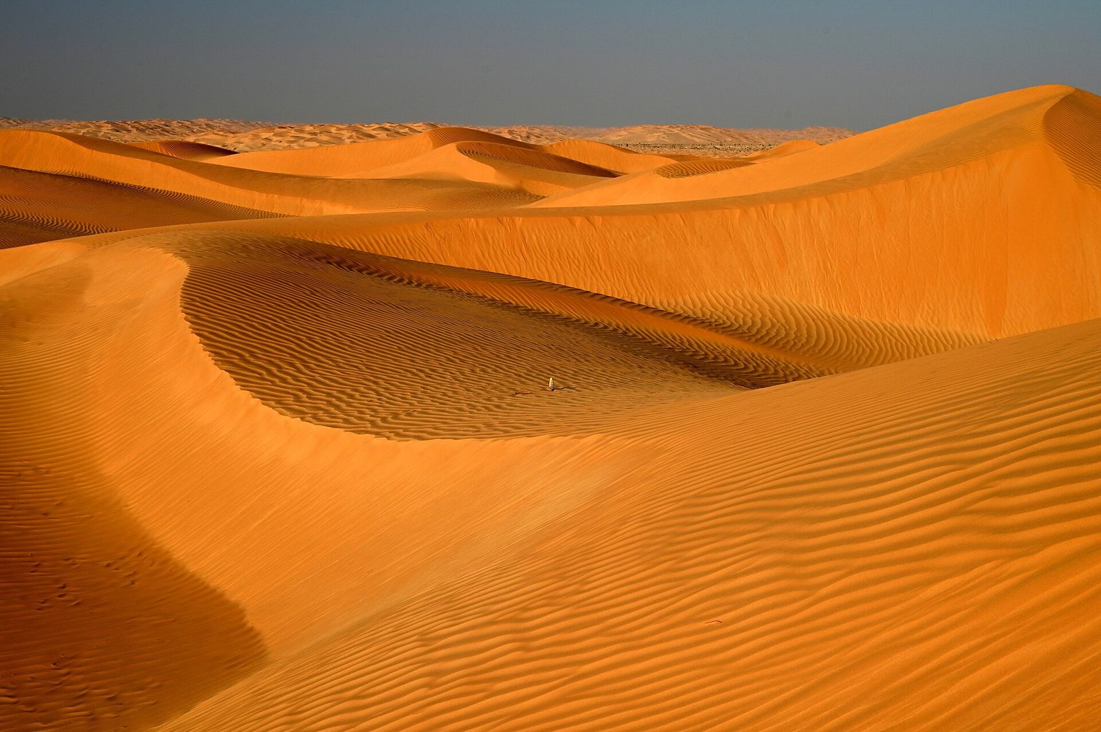 المنطقة الحرة بالمزيونة