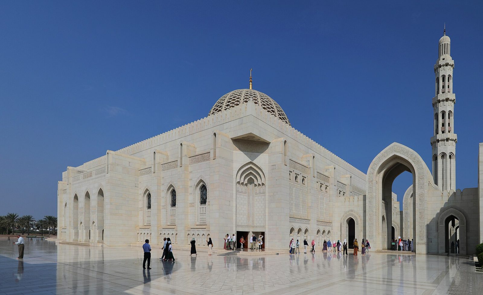 الشركة ذات المسؤولية المحدودة